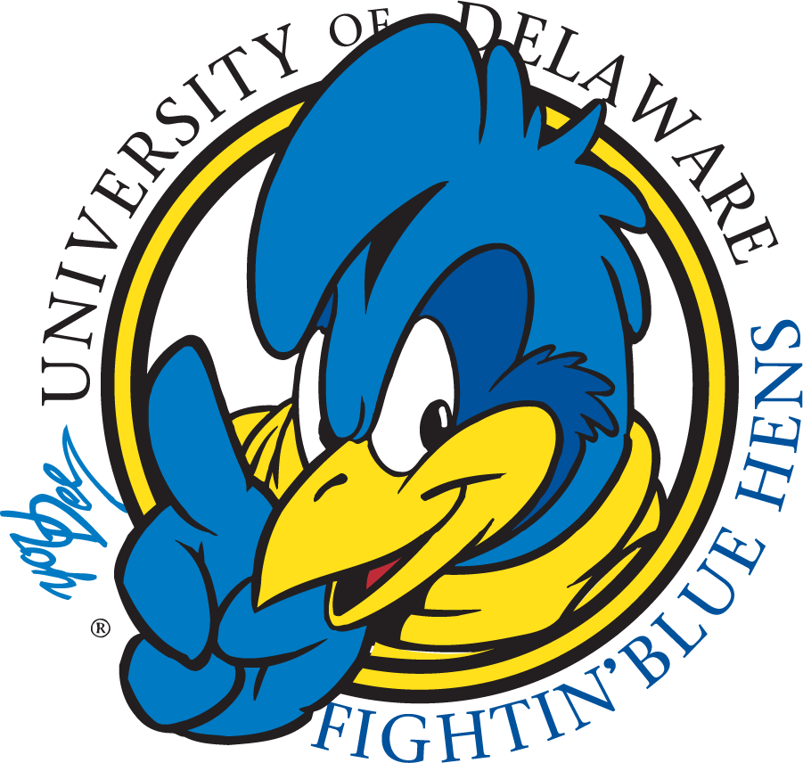 Delaware Blue Hens 1999-2009 Mascot Logo v15 diy iron on heat transfer